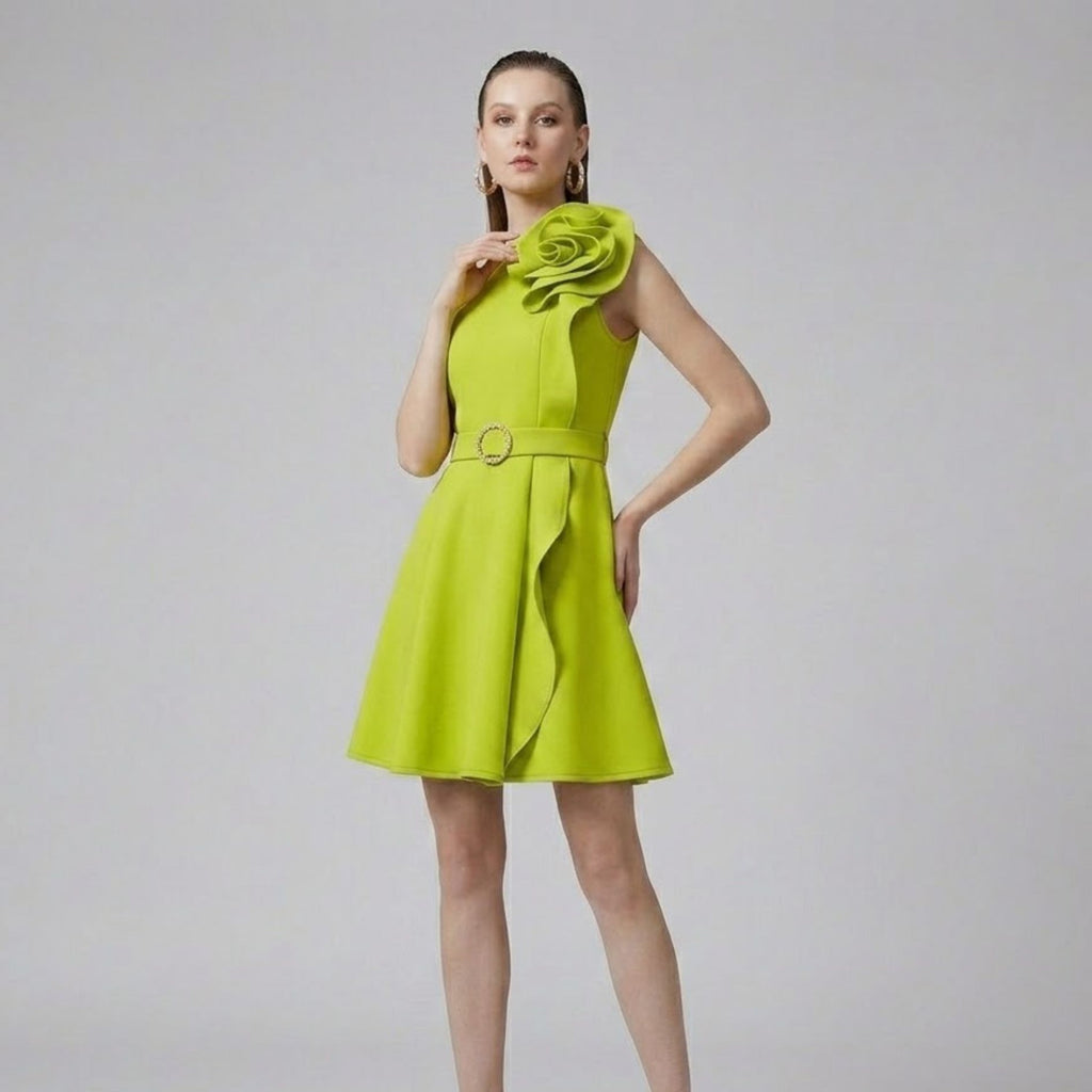 3D Floral Crew Neck Dress