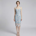 Lace Camisole Fitted Dress